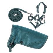 Hobby Horse Set - Summer - Halfter, Strick und Fliegendecke